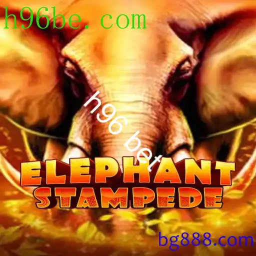 ElephantStampede